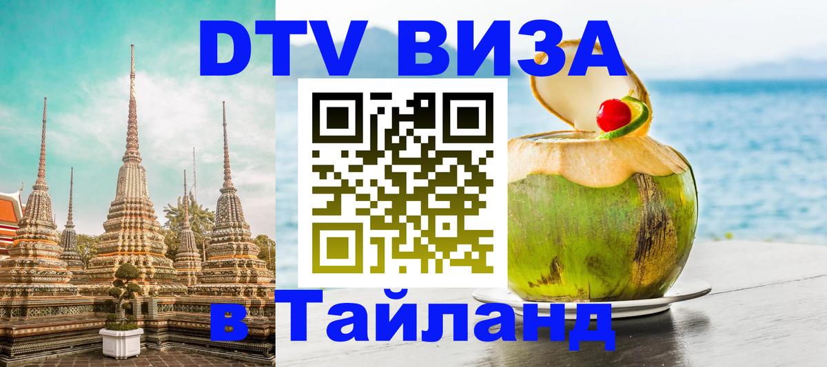 Оформление DTV визы под ключ: стоимость и тарифы, только загранпаспорт - 09.01.2026 